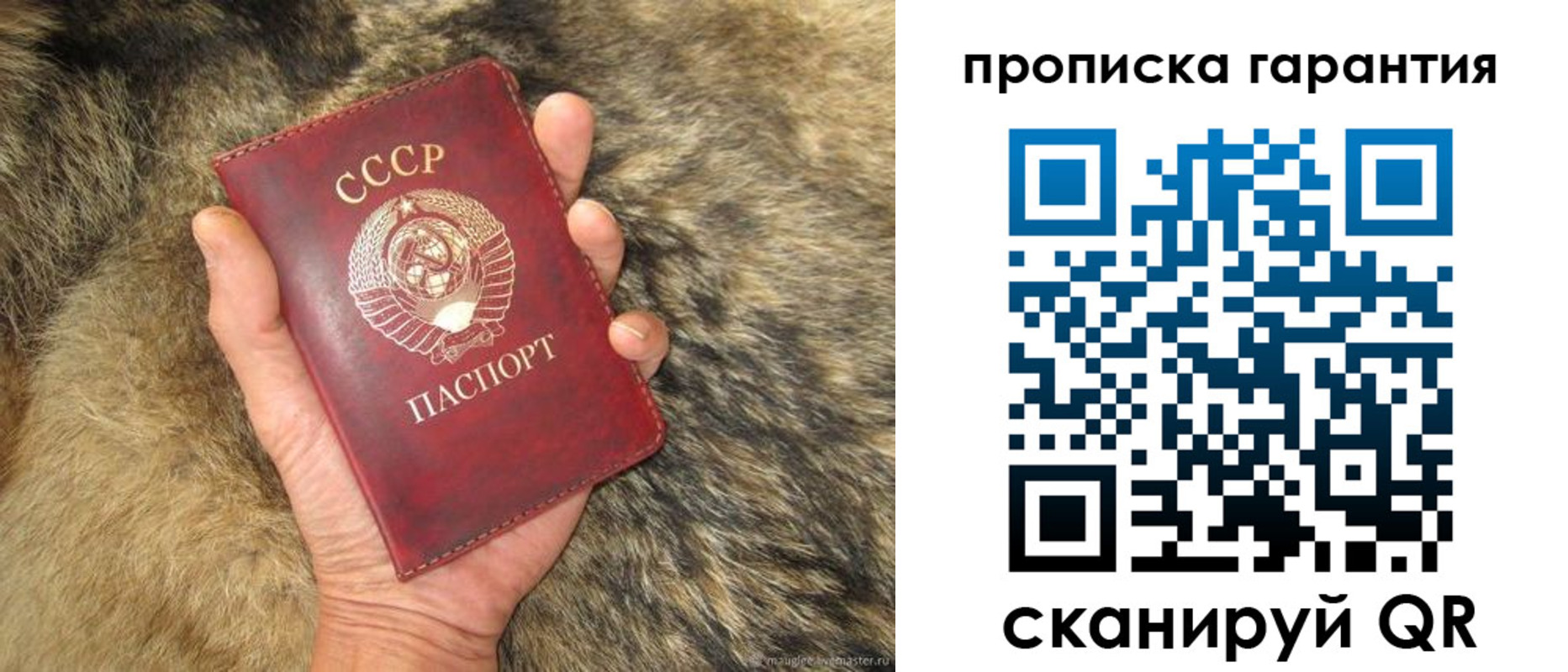 временная регистрация гарантия в Иланском